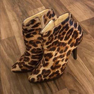 Steve Madden Leopard Booties
